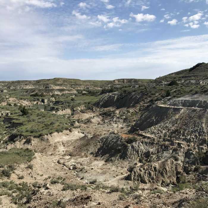 Near Petrified Trail Loop