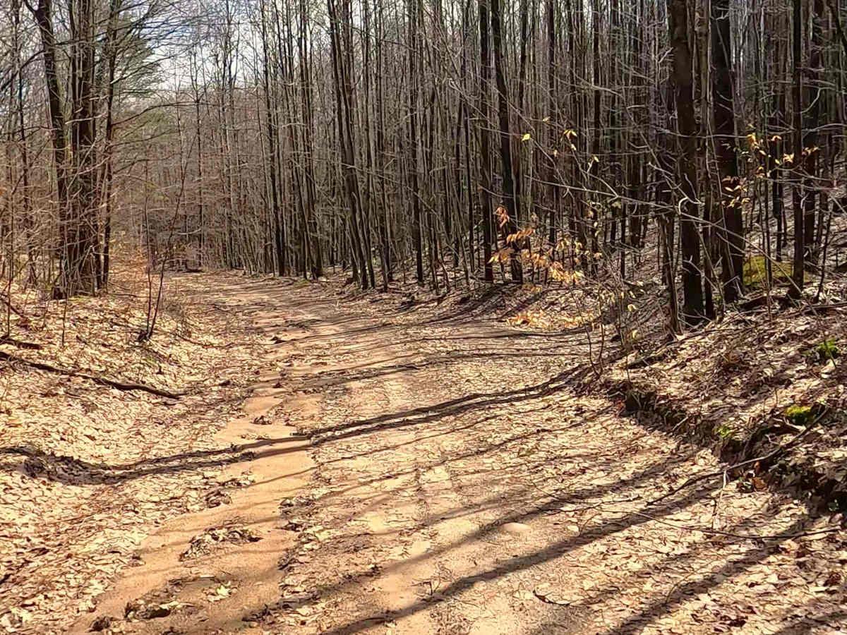 Keely Road - FS 4452 photo 6