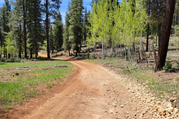Upper Canyon Loop