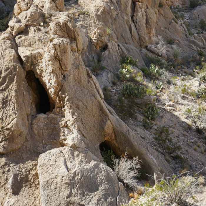 Near Dog Canyon Near Dog Canyon