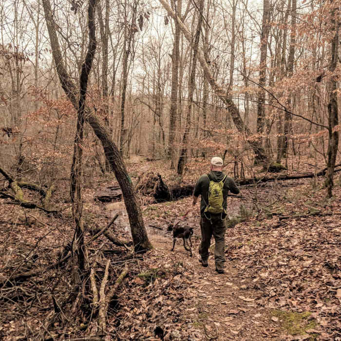 Shoal Creek Trail, approaching wetland crossing. Near Turkey Ridge - Shoal Creek Loop