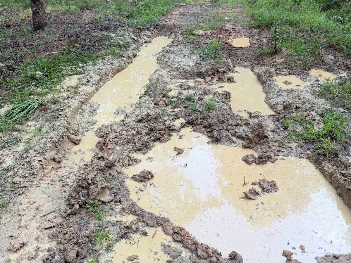 Mud Season photo 4