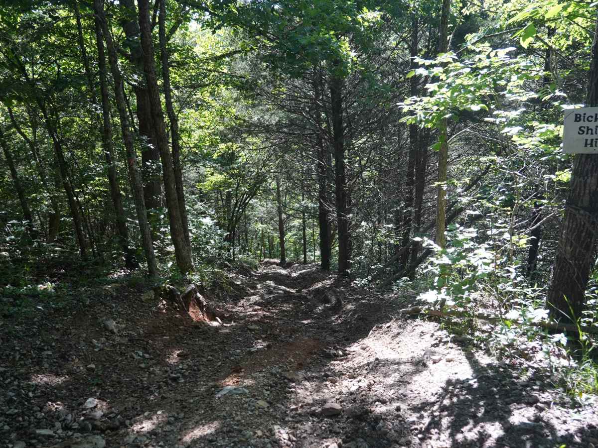 Bickel's Shitty Hill photo 2