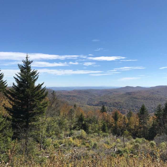 Near Black Mountain Trail