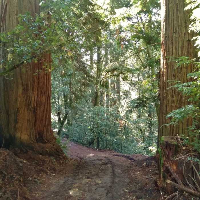 Near Iron Springs Trail