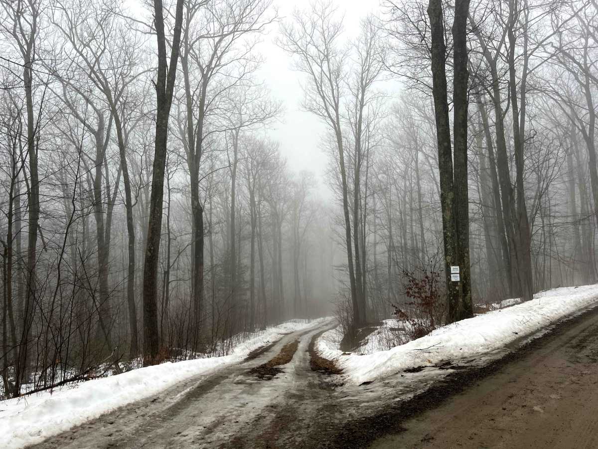Deer Lick Trail trail photo