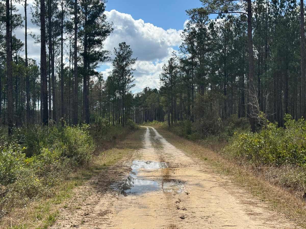 Hinson Road photo 6