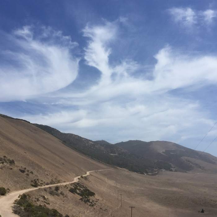 Near Point Buchon Trail