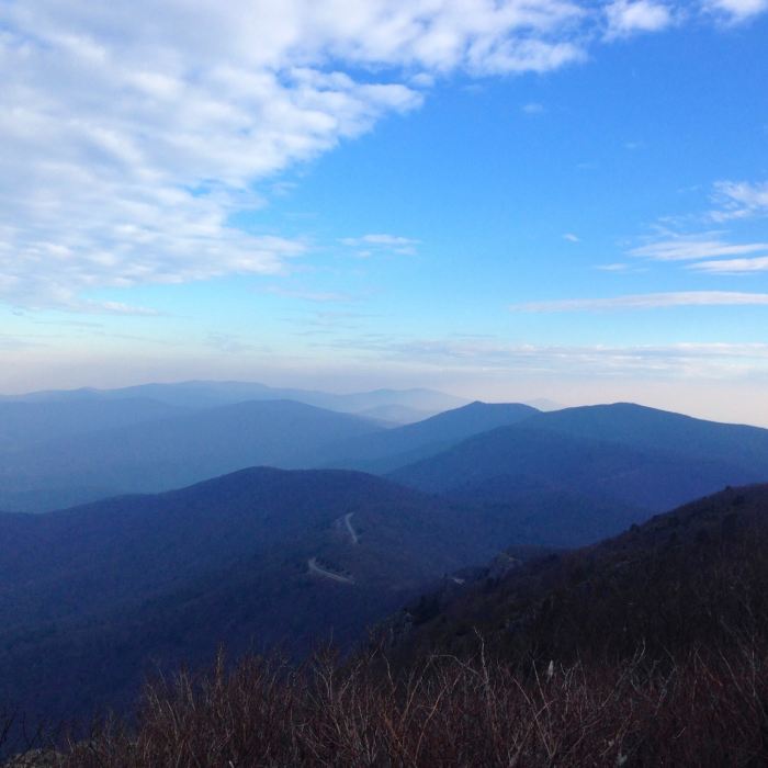 Near Stony Man Trail