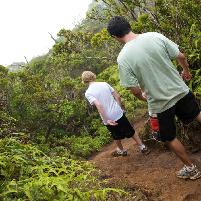 While the surroundings are interesting, you'll need plenty of focus on the steep clay sections of trail as they can be really slippery. Near Alakai Swamp Out and Back