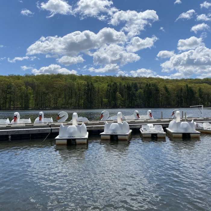 Tickets (2 persons/4 persons) for the paddle boats can be purchased at the Boats Hut. Orange Township residents (with ID) may receive a discount. Near Valley View Drive