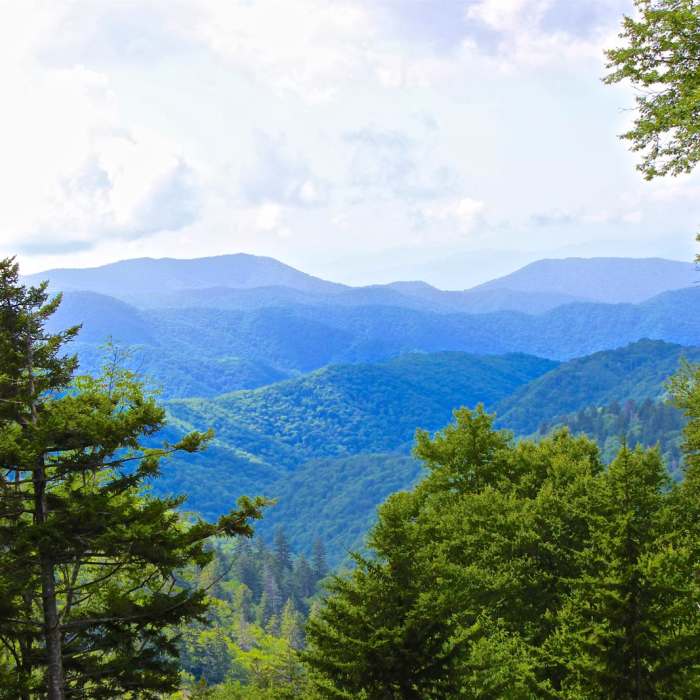 Near Charlie's Bunion Near Charlie's Bunion