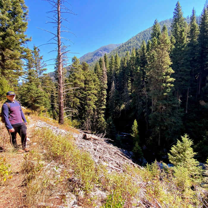 Near Hell Roaring Creek Trail CE