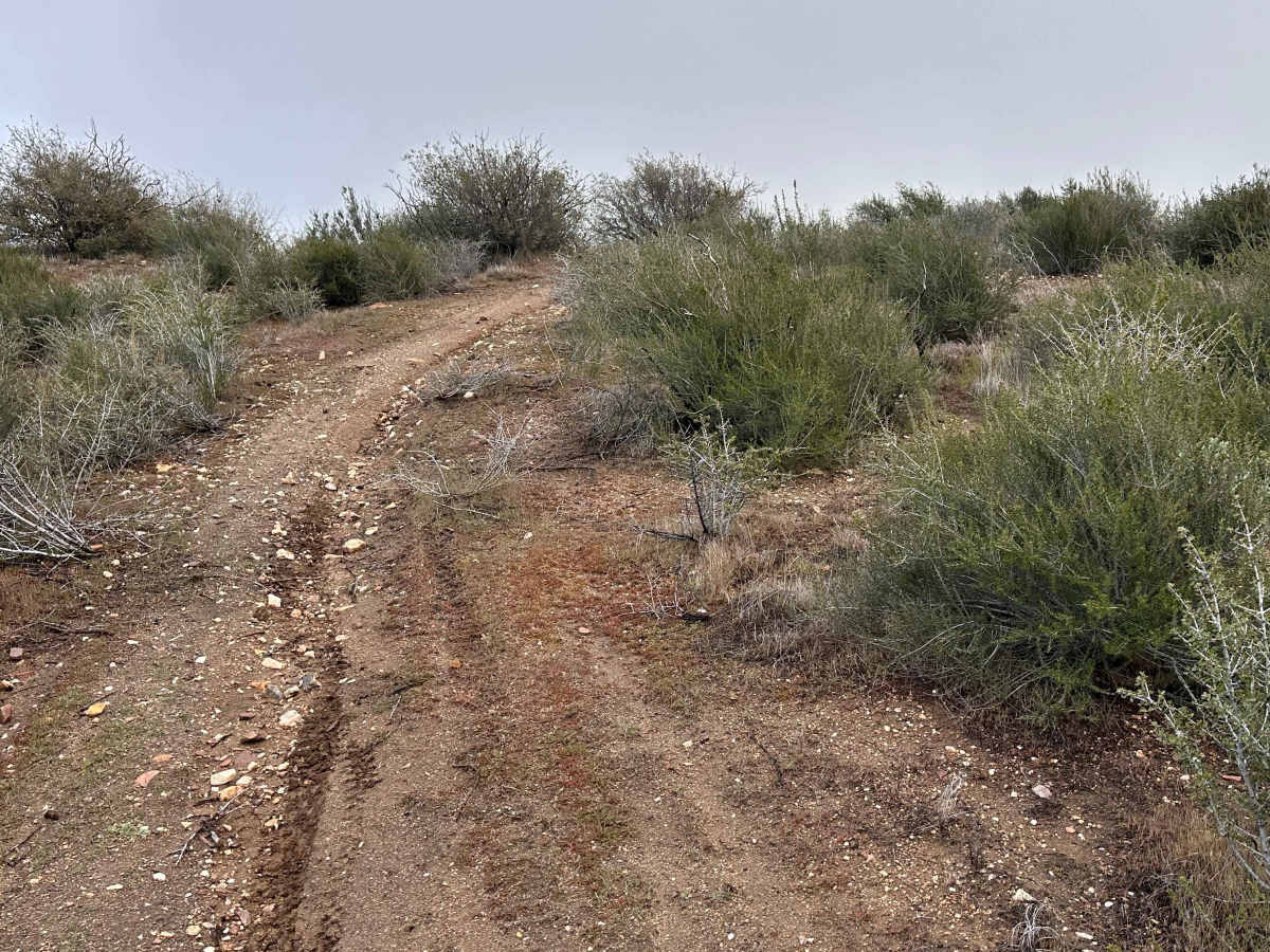 BM Bush Run photo 3