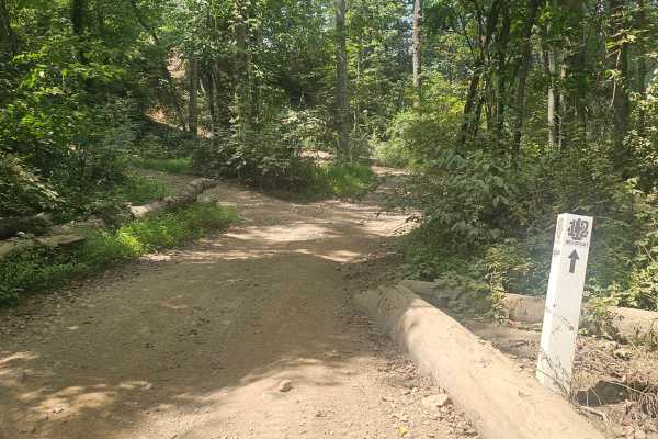Trail 12