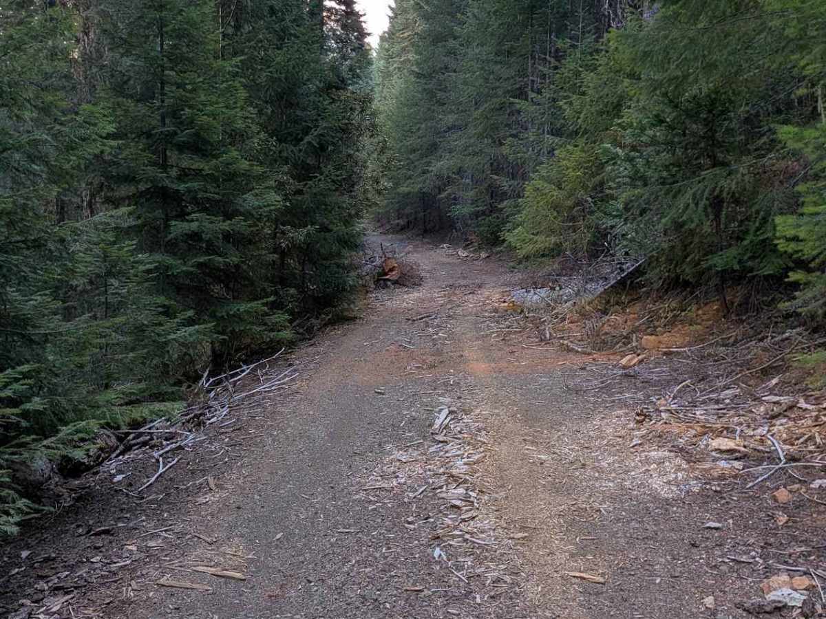 Clark Creek Loop - FS 4N25 trail photo