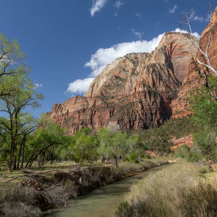 Near Kayenta Trail