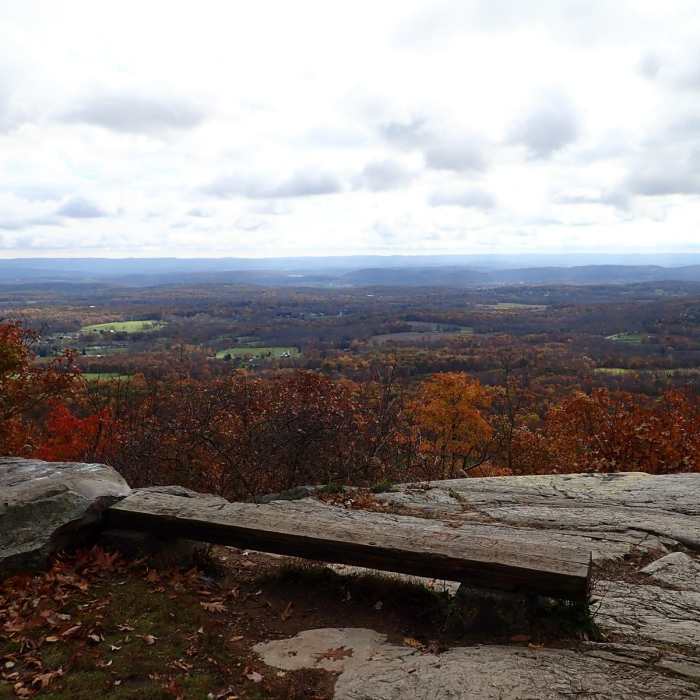 Near Appalachian Trail - Stokes S.F. North Near Appalachian Trail - Stokes S.F. North