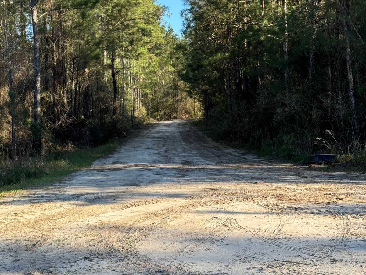 Lyles Old Field trail photo