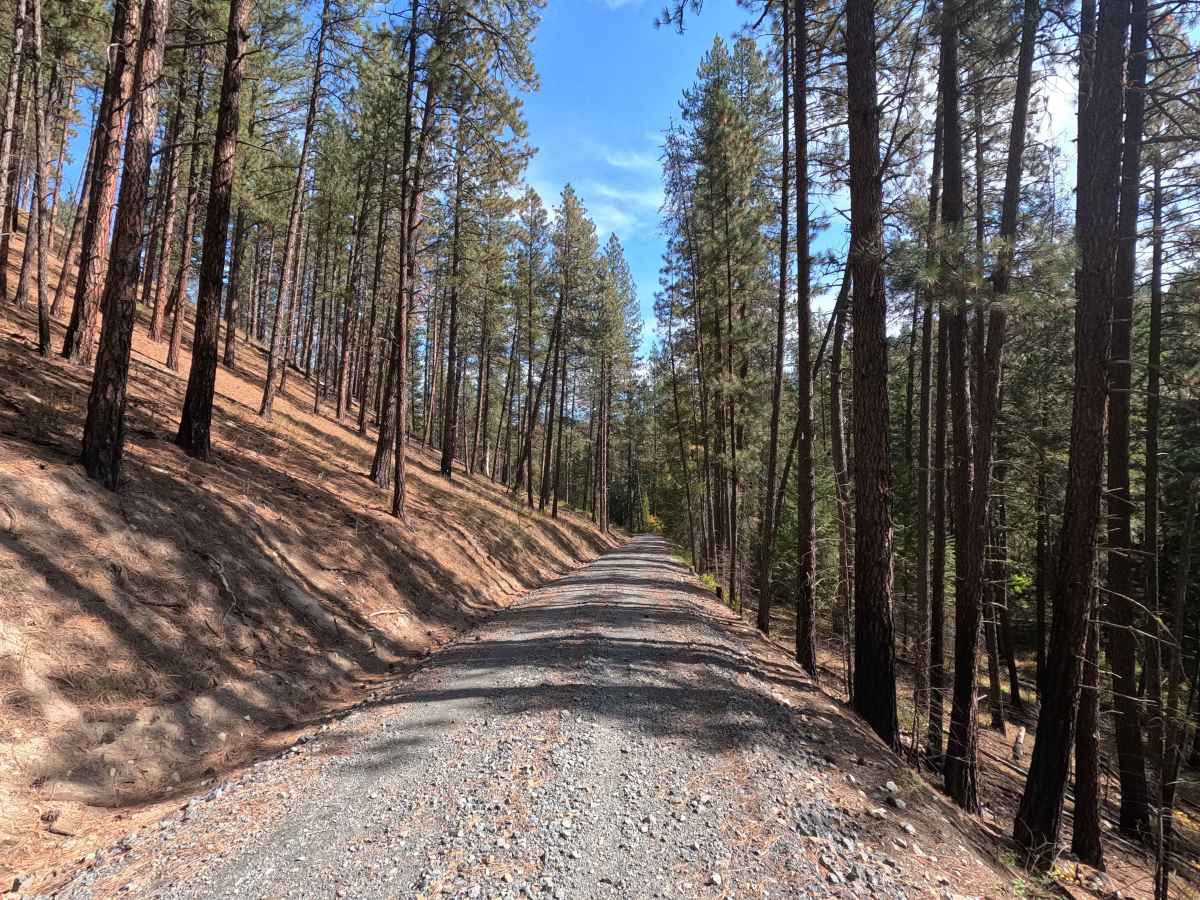Blacktail Mountain Road photo 5