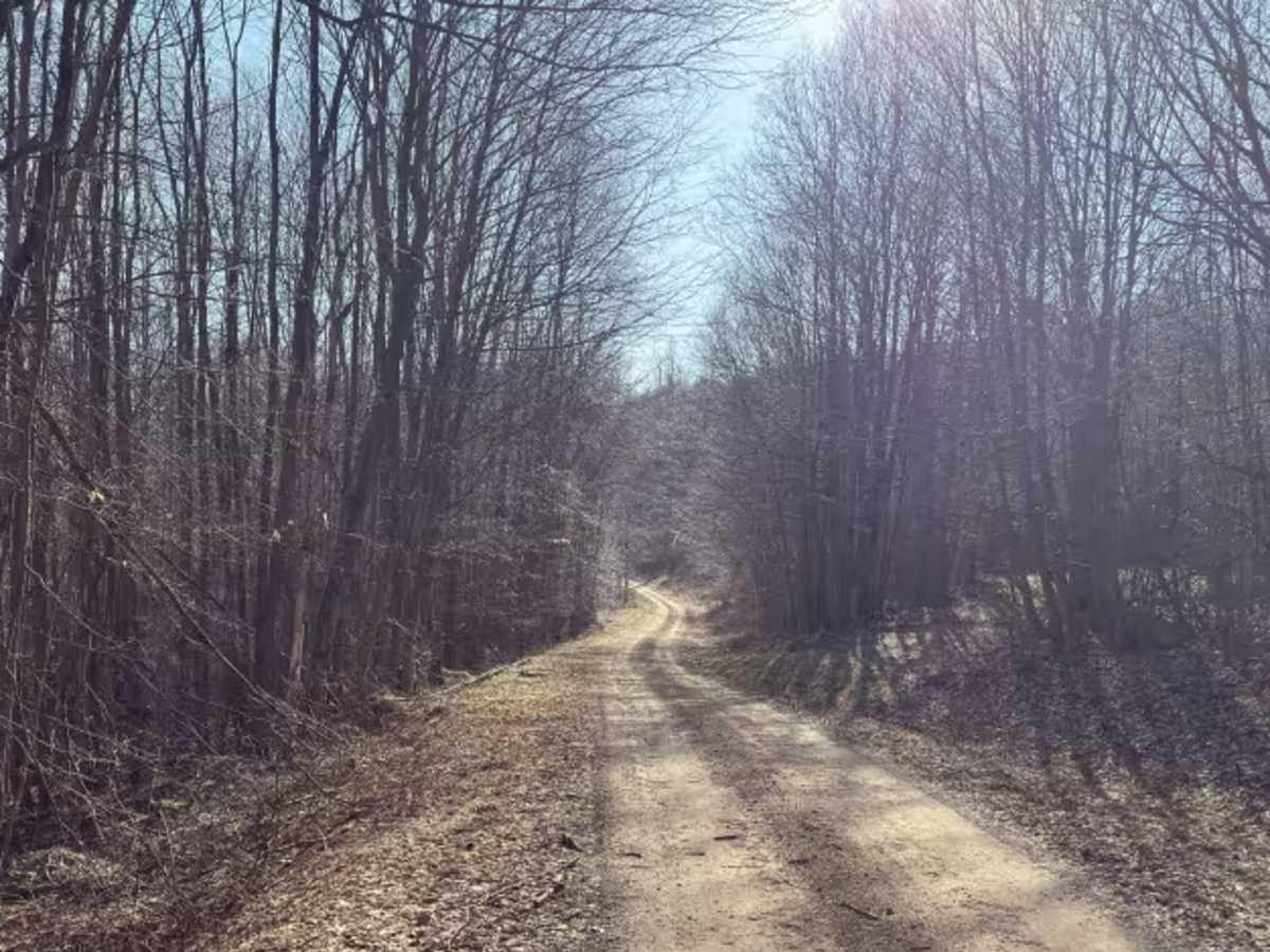 Camp Run - FS 504 photo 5