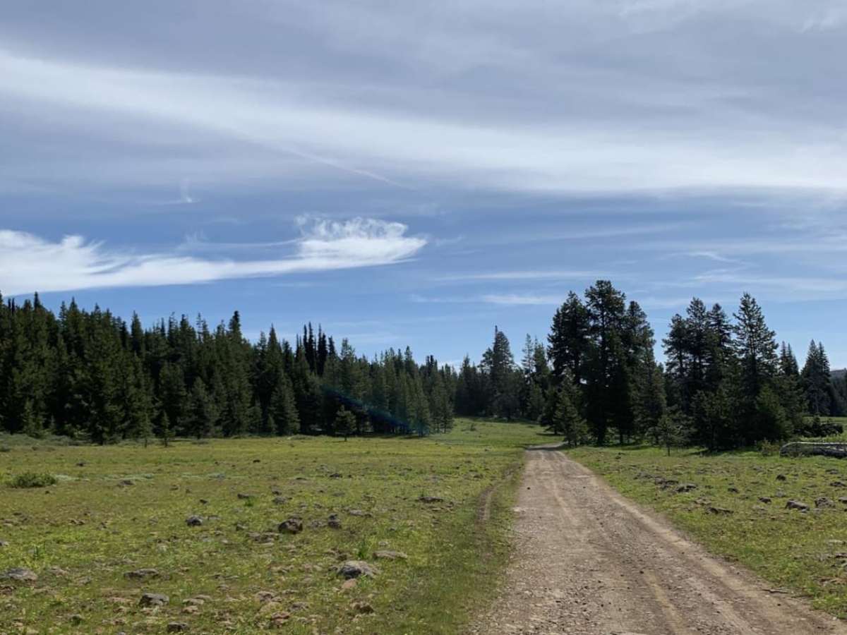 Summit Road NF2630 photo 5