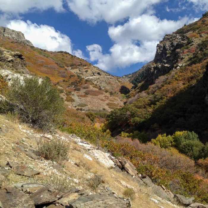 Near Steed Canyon Waterfalls