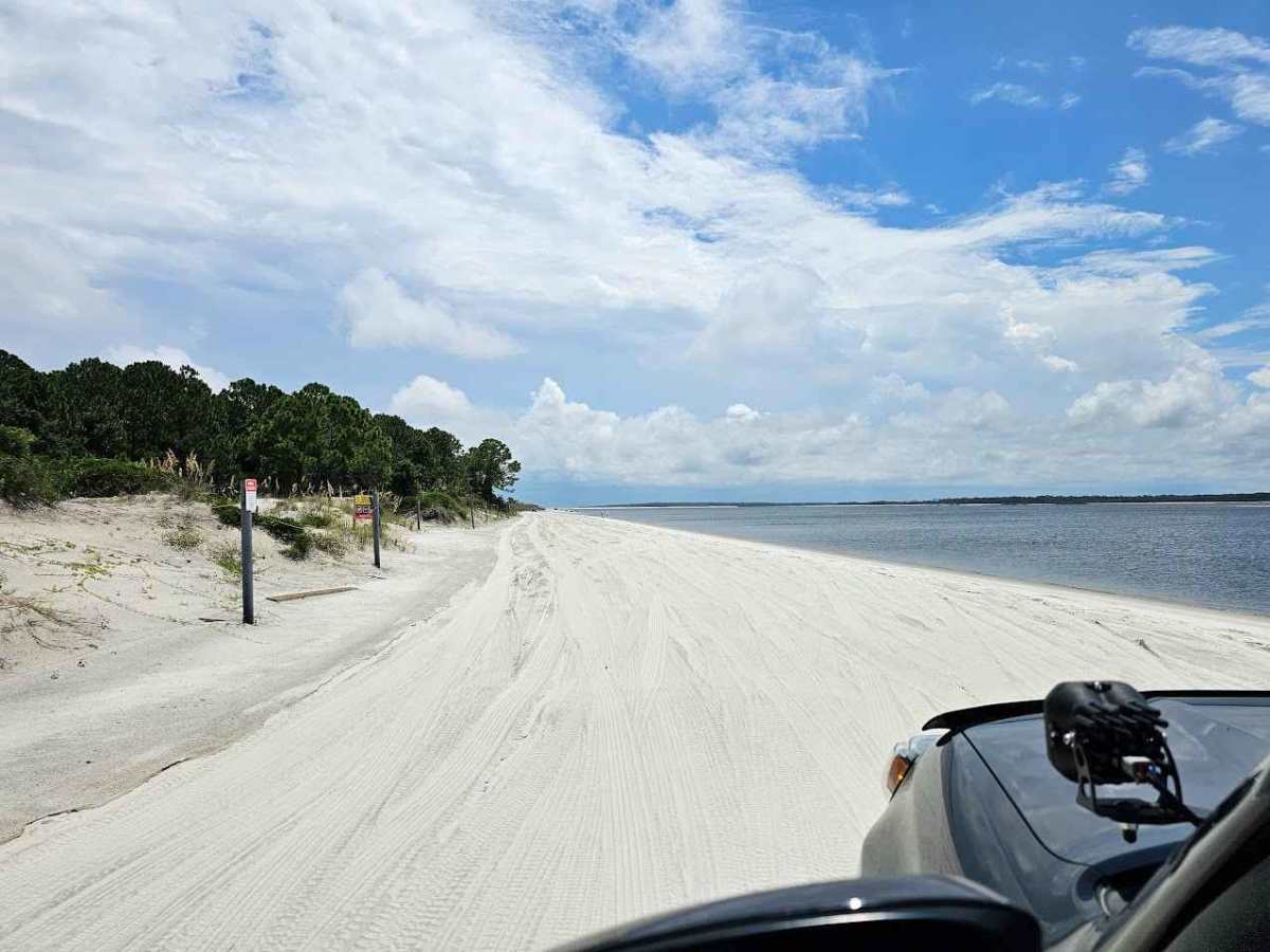 Amelia Island State Park photo 2