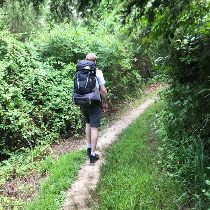 Near Frog Hollow Trail