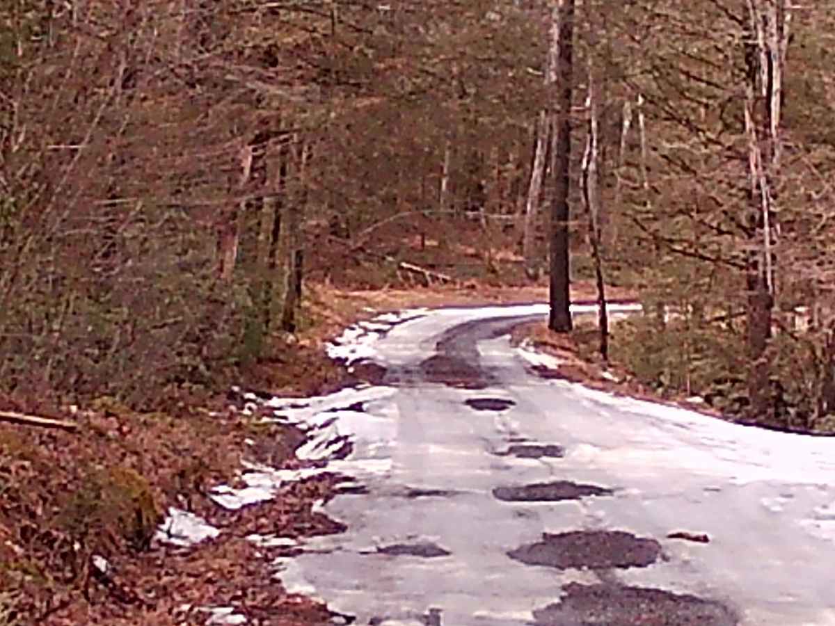 Yarison Road photo 3