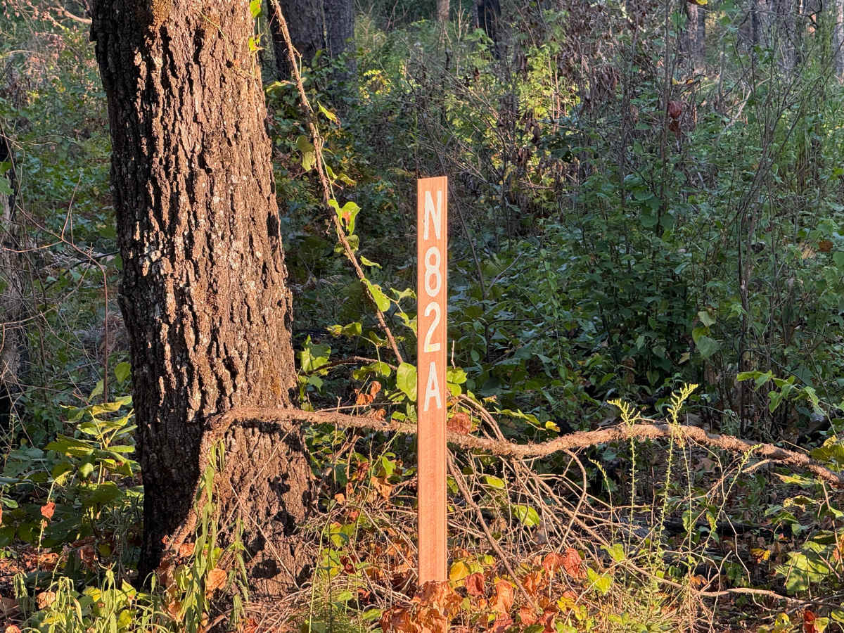 Flat Ridge  photo 2