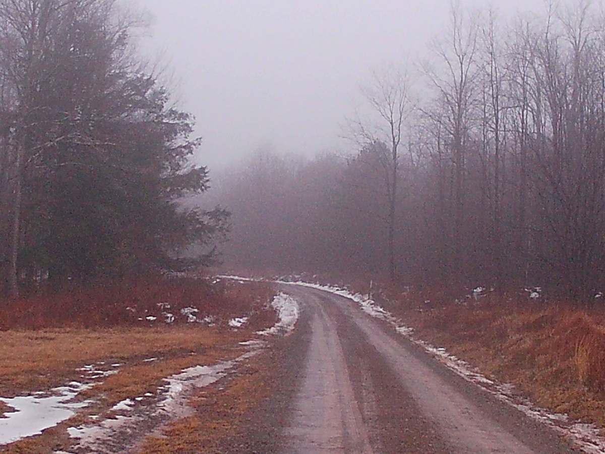 Flynn Road photo 3