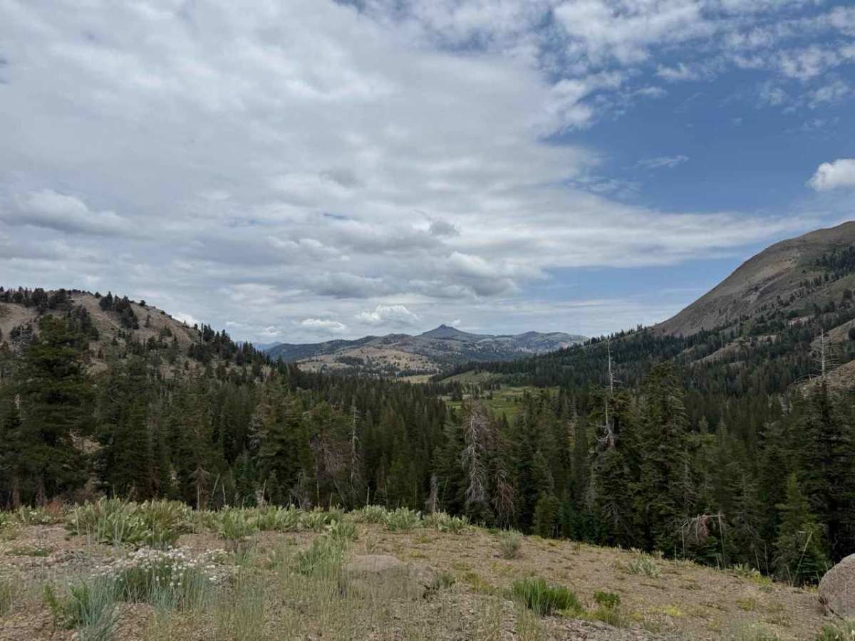 Charity 2 - FS 31362 trail photo
