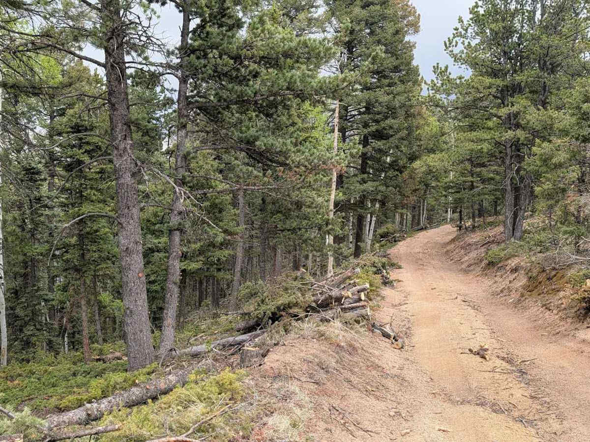 Hell Creek Road photo 6
