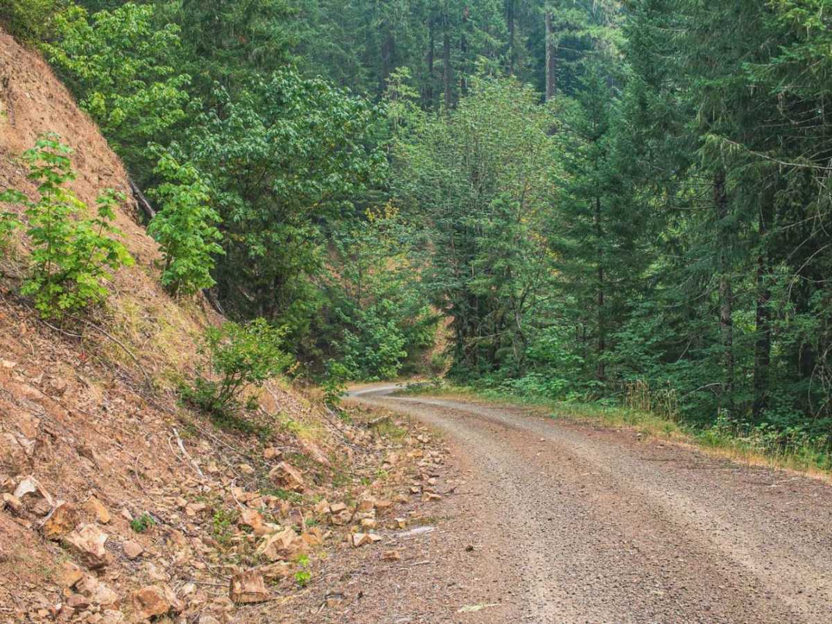Cook Creek photo 5