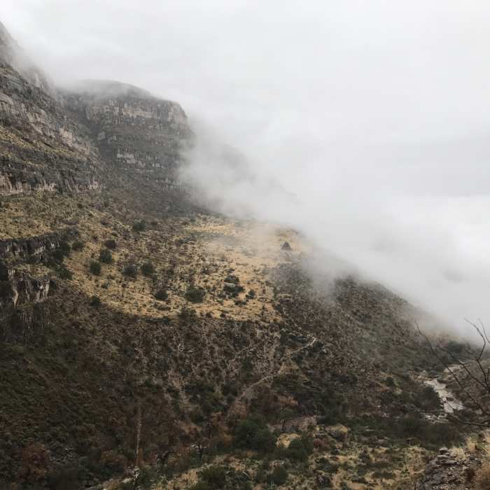 Near Dog Canyon Trail (T106)