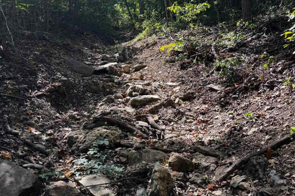 Hill Climb