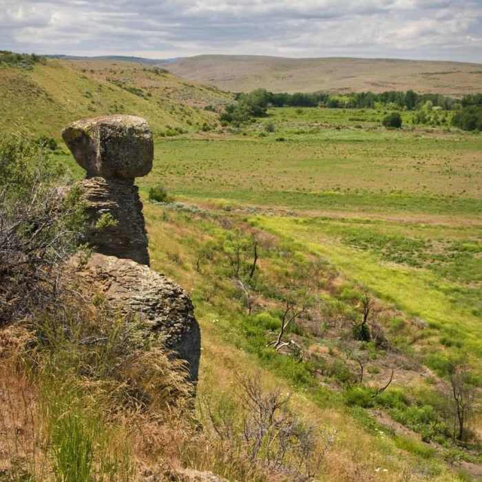 Near Balanced Rock Trail