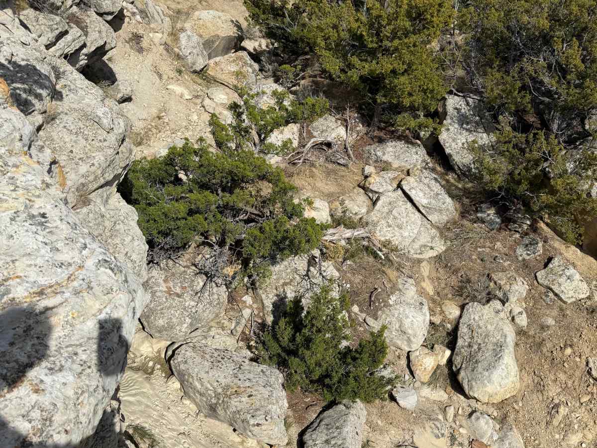 A** Eater trail photo