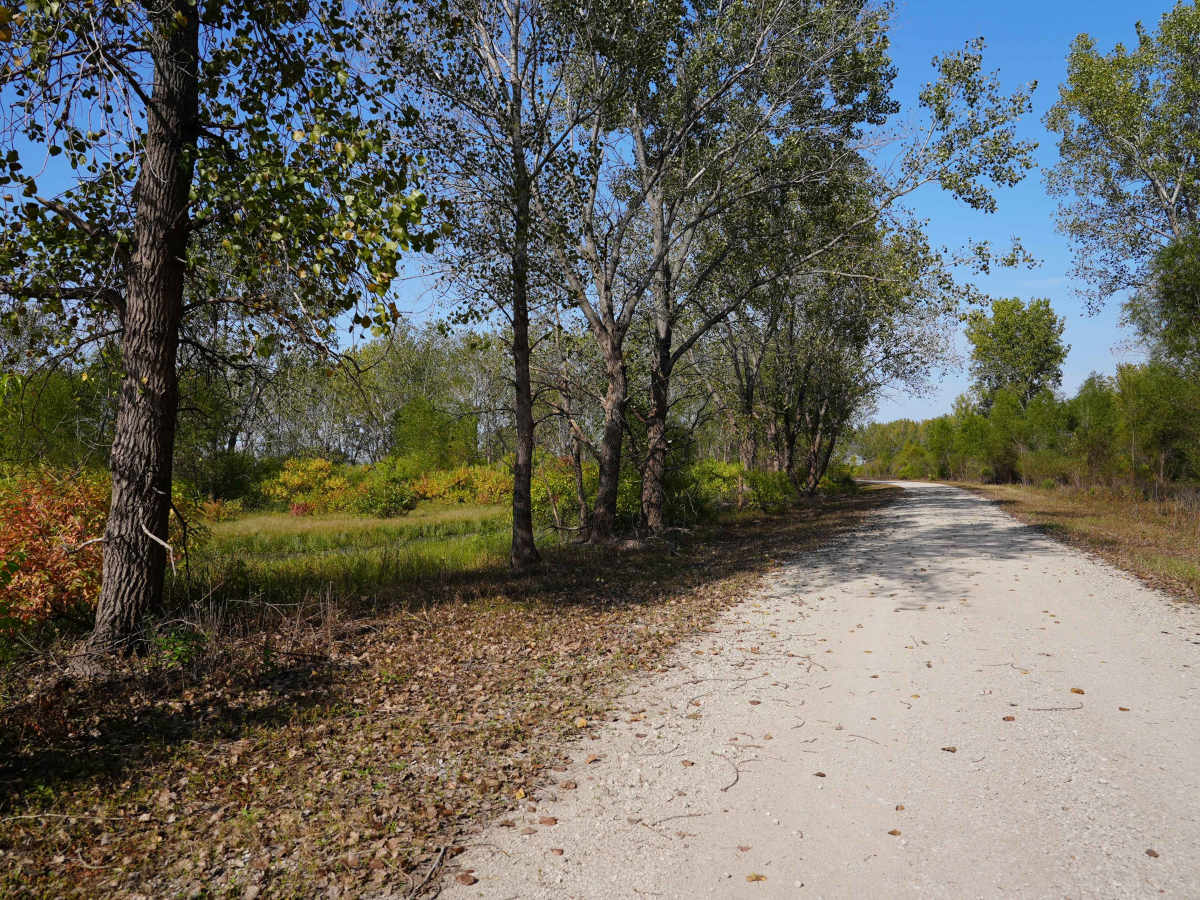 Lake Road West Fork photo 3