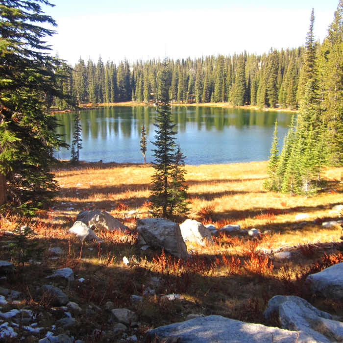 Near Buckhorn Trail #96