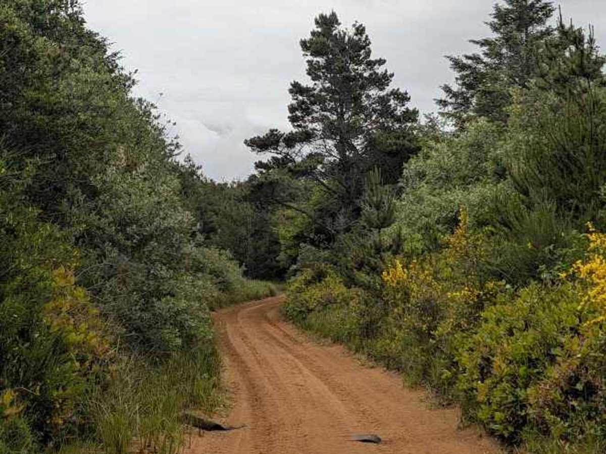 Hunters Trail - 1349 photo 3