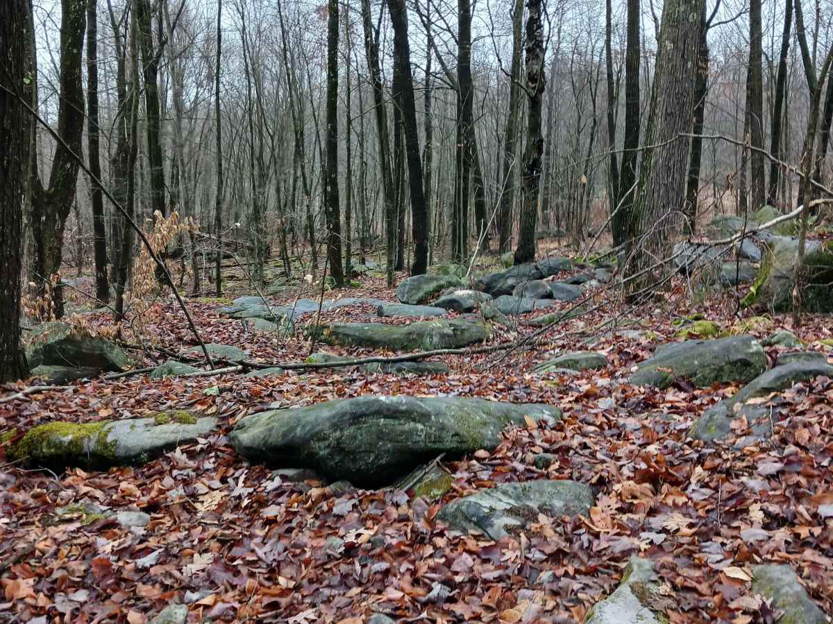 OHV 28 - Rock Run Recreation Area photo 2