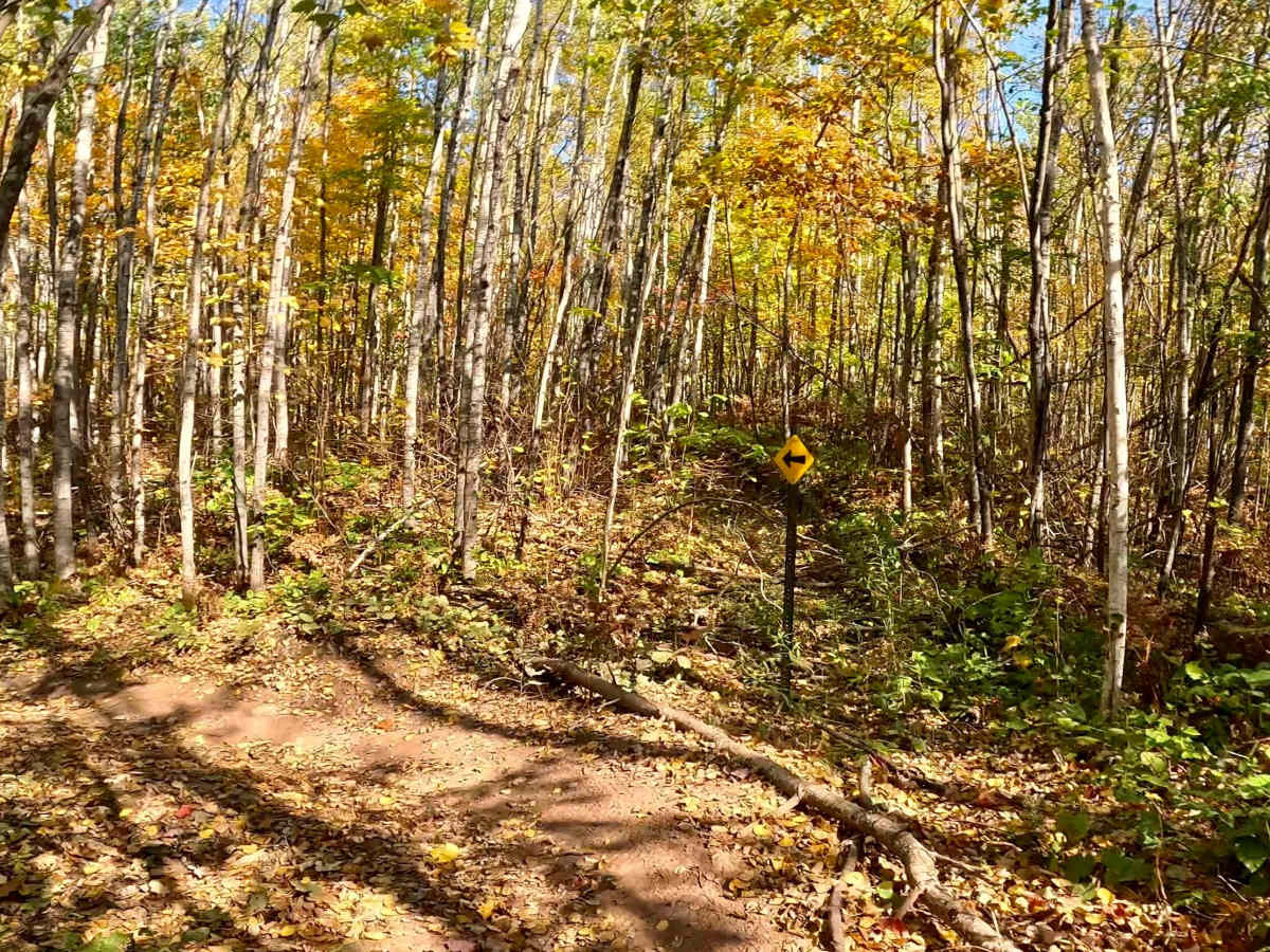 Tamarack Straight Arrow East Trail photo 6