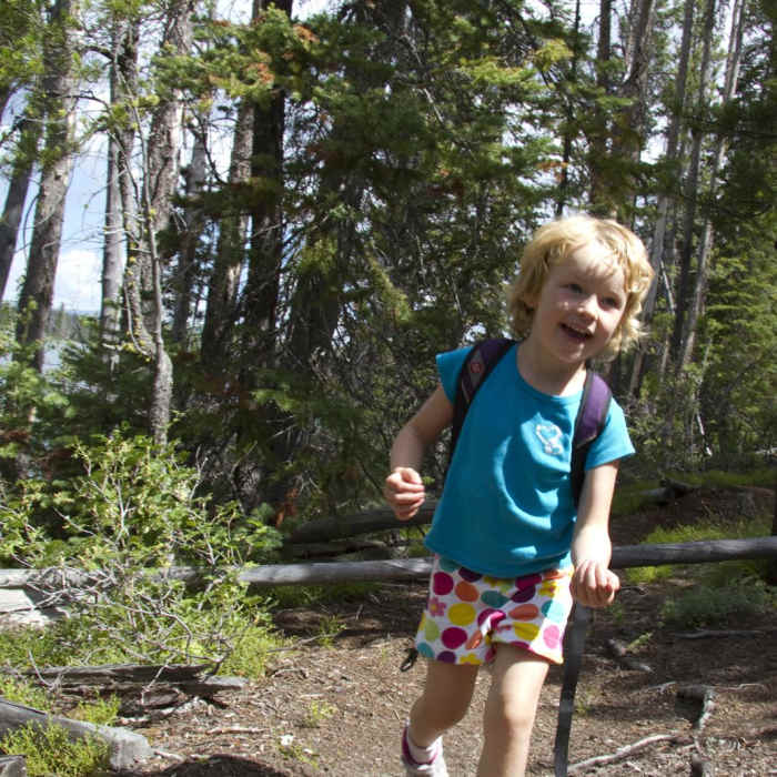 Near Alturas Lake Trail