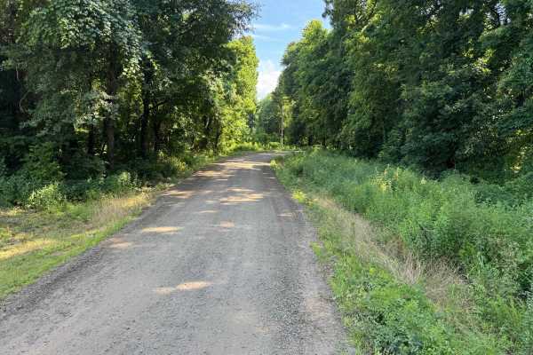 Silex Road