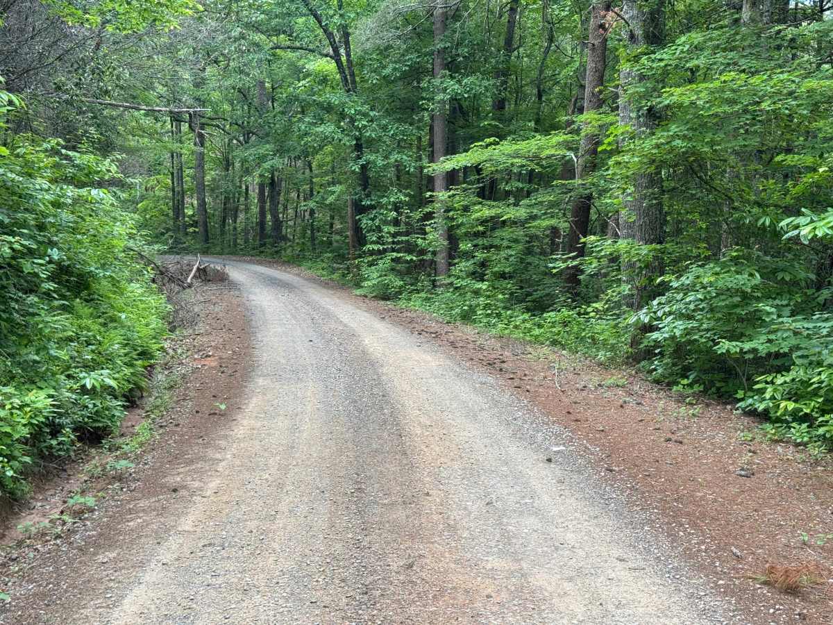Joe Brown Highway photo 4