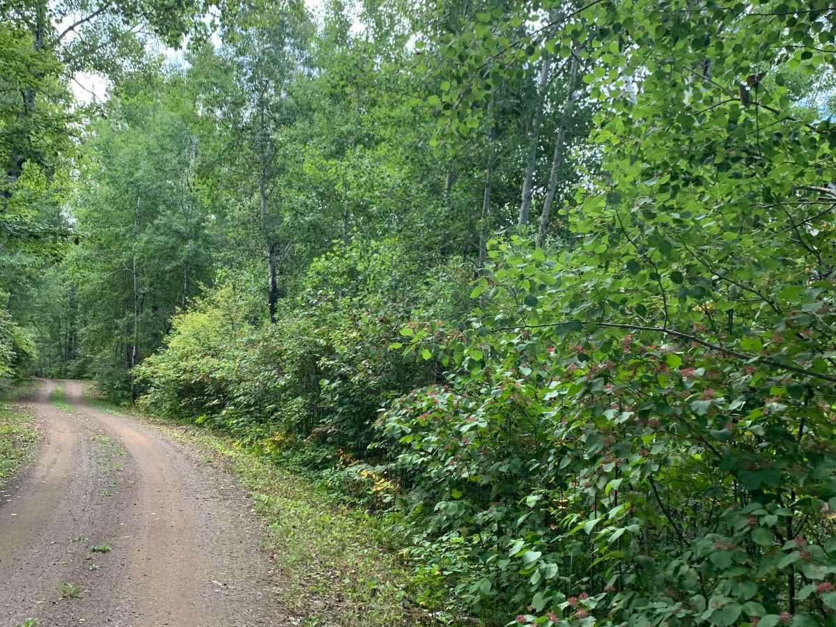 Kettle Lake Road photo 3