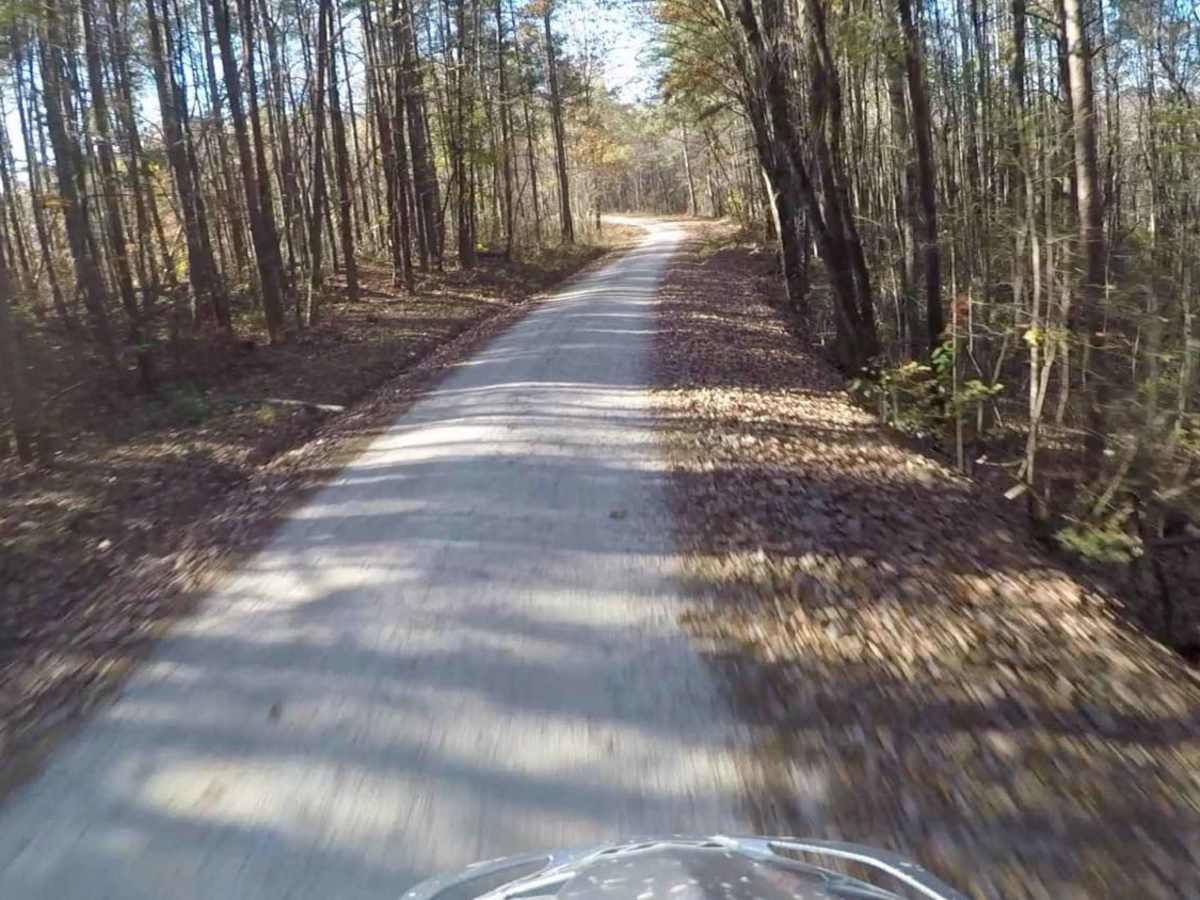 South Carolina Adventure Route Segment 3 photo 4