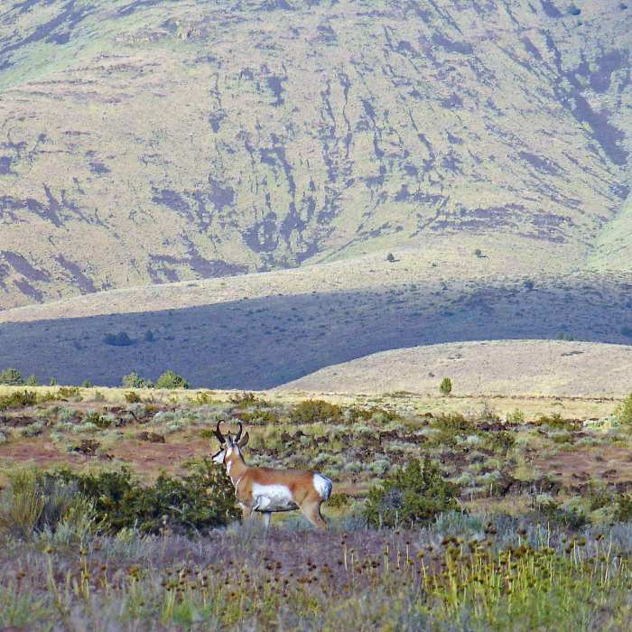 Near Modoc Line Rail Trail - Snowstorm Canyon Segment